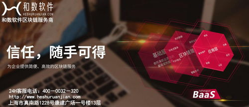 和数软件 解读区块链技术的特点及在金融软件领域的开发进展